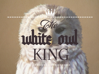 king brown king owl white
