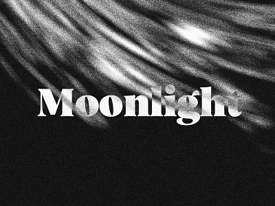 Moonlight abstract art black and white branding experiment font light logo noise serif typography