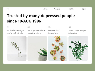 Calm Plants - website layout design