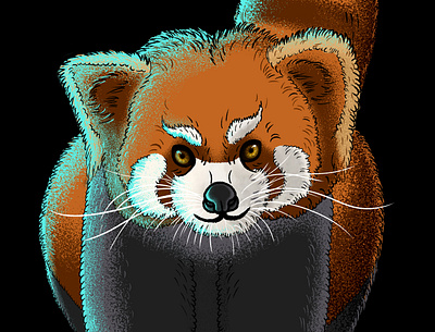 Red panda adobe portfolio art artist artwork design drawing graphic design illustration painting photoshop picture