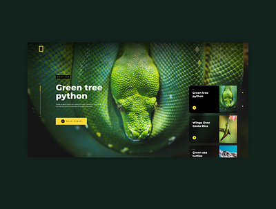 National Geographic - Redesign black concept concept flat home homepage journal minimal minimalism national geographic nature news photo photography redesign ui ui ux ui design ux design website website design