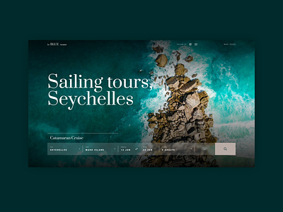 Seychelles tours concept design flat form design minimal tours travel ui ui design ux design website website design