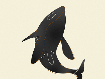 Orca Whale design illustration line minimal orca stroke whale