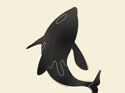 Orca Whale