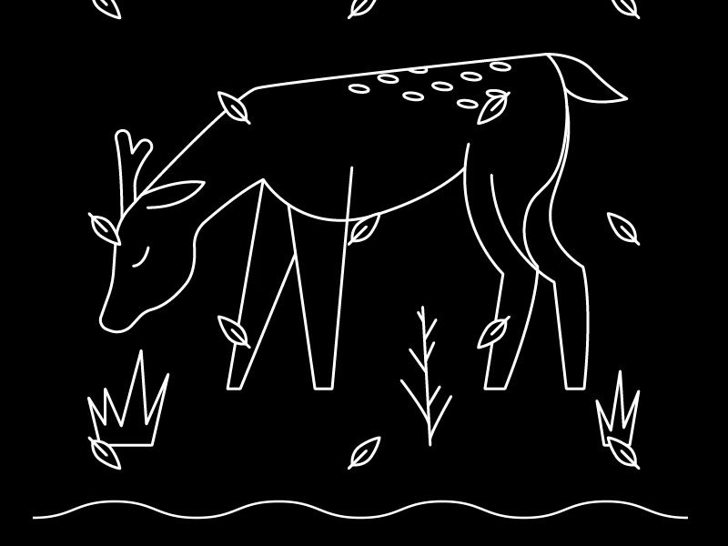 Leaves & Deer animation black and white deer design gif illustration motion graphics