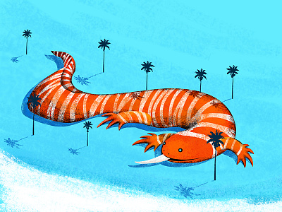 The beach of the giant salamander illustrations