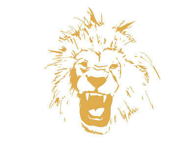 Lion illustration sketch