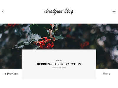 Dustfree Blog artist blog clean design minimal modern webdesign