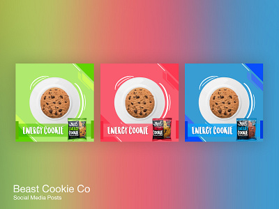 Beast Cookie app branding design graphic design illustration landing page ui ux vector