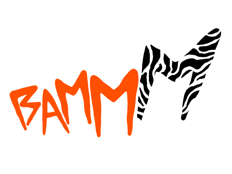 BAMMM bamm bammm comic gif leopard onomatopoeia snake tiger typo typography zebra