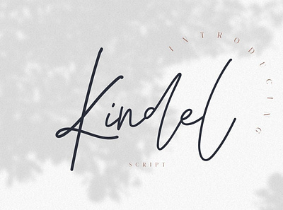 Kindel Script by Vladimir Fedotov font freefont handwrittenfont scriptfont typography
