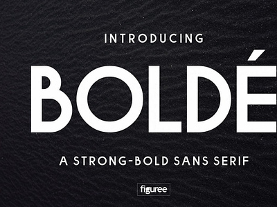 Bolde Font Family