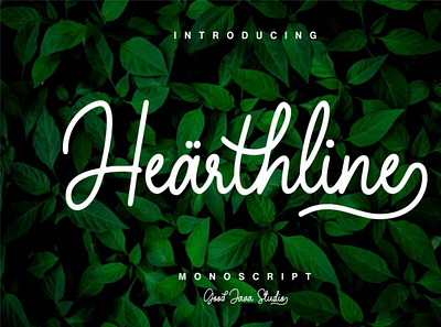 Hearthline Monoline Script digitalart font handwrittenfont scriptfont typography