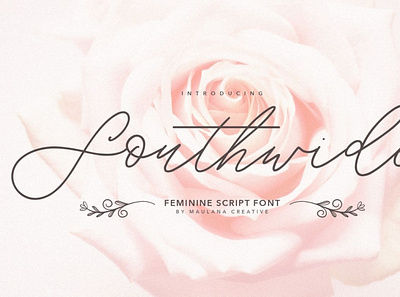 Southwide Feminine Script Font digitalart font handwrittenfont scriptfont typography