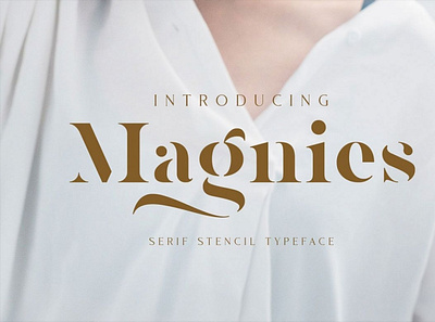 Magnies - Minimal Serif digitalart font seriffont typography