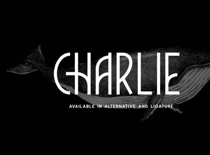 Charlie by Deeezy on Dribbble