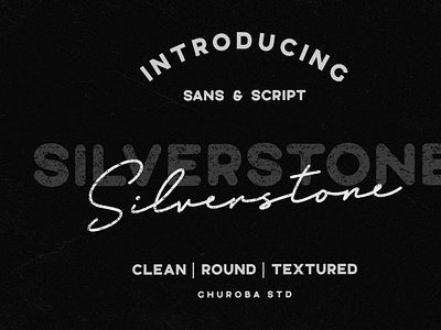 The Silverstone Collection decorativefont digitalart font typography