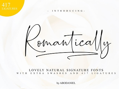 Romantically digitalart font signaturefont typography