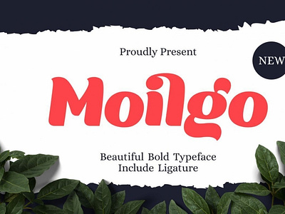 Moilgo digitalart font luxuryfont typography