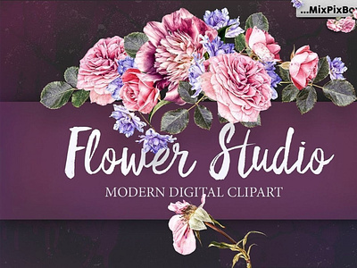 Flower Studio Clipart