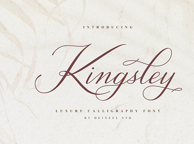 Kingsley Calligraphy calligraphy font handwrittenfont typography