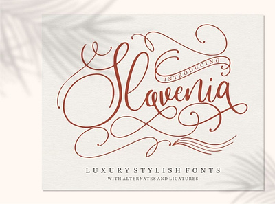 Slovenia calligraphy font handwrittenfont scriptfont typography