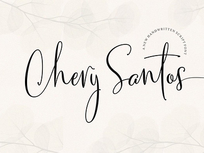 Chery Santos calligraphy font handwrittenfont typography