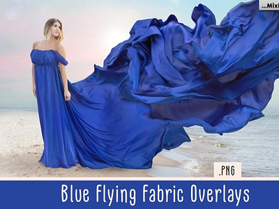 Blue Flying Fabric Overlays