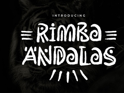Rimba Andalas digitalart ethnicfont font typography