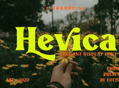 Hevica Multi Purpose Font elegantfont font seriffont typography