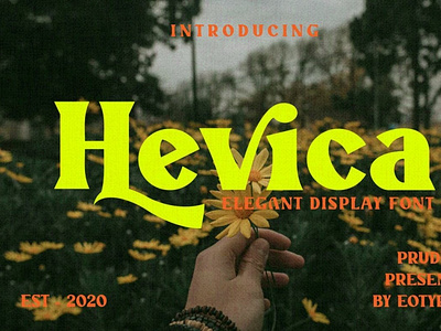 Hevica Multi Purpose Font