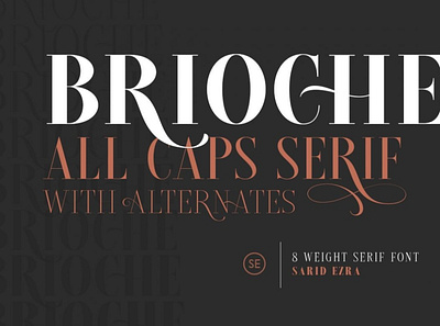 Brioche Family font modernfont seriffont typeface typography