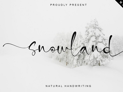 Snowland digitalart font handwrittenfont scriptfont typography