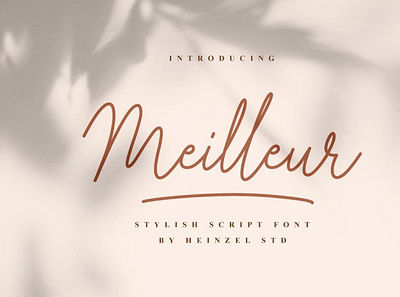 Meilleur font handwrittenfont scriptfont typography