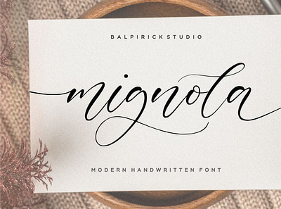 Mignola Modern Handwritten Font calligraphy font handwrittenfont typeface typography