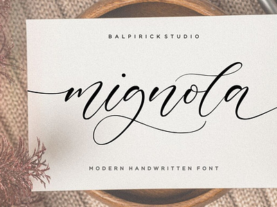 Mignola Modern Handwritten Font calligraphy font handwrittenfont typeface typography