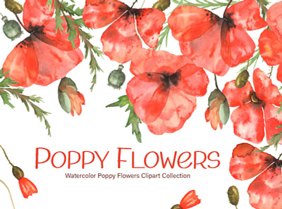 Watercolor Poppy Flowers Collection digitalart illustrations poppy poppyflower watercolor