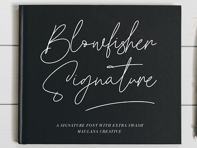 Blowfisher Signature Script calligraphy font handwrittenfont signaturefont typography