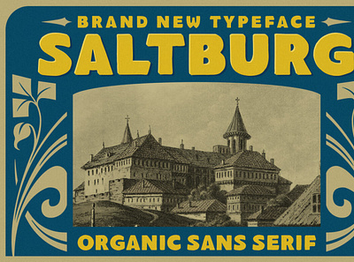 Saltburg - Organic Sans Serif digitalart font sansserif typography vintagefont