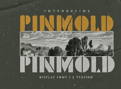 Pinmold - Modern Stencil Font displayfont font stencilfont typeface typography