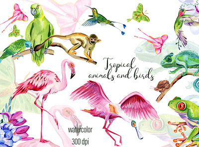 Tropical jungle animal collection animal clipart exotic illustrations tropical