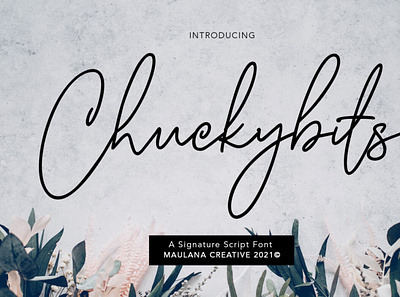 Chuckybits Fancy Signature Script Font digitalart font handwrittenfont scriptfont typography