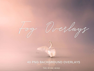 Fog overlays digitalart effects fog overlay