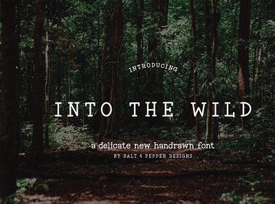 Into the Wild Font font typeface typewriter typography