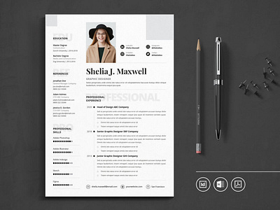 Professional CV Resume