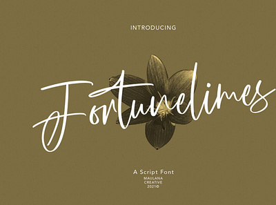 Fortunelimes Script Font font scriptfont typeface typography