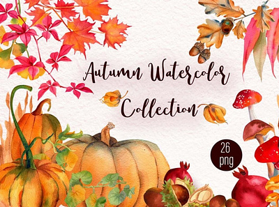 Watercolor Autumn woodland Collection clipart digitalart elements illustrations watecolor