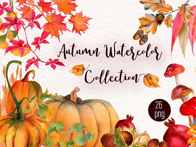 Watercolor Autumn woodland Collection clipart digitalart elements illustrations watecolor