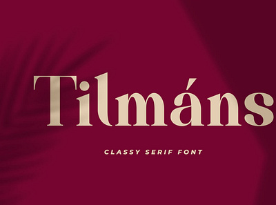 Tilmáns Modern Serif font serif seriffont typeface typography