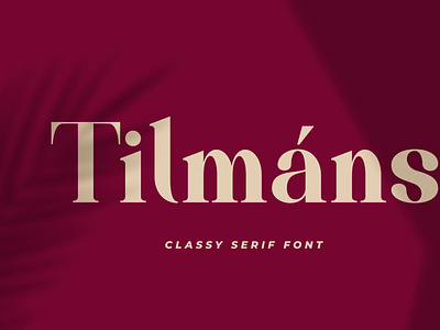 Tilmáns Modern Serif